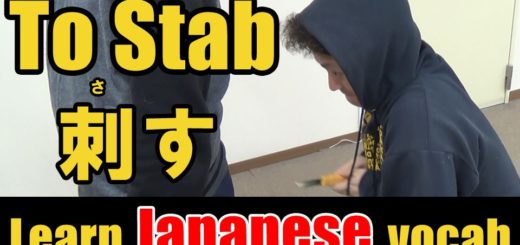 stab japanese
