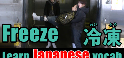 freeze Japanese