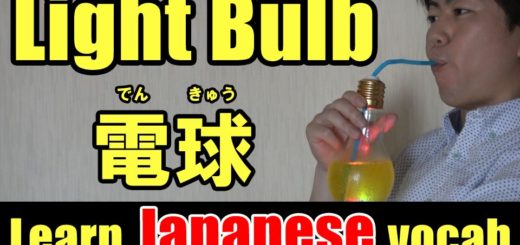 light bulb japanese