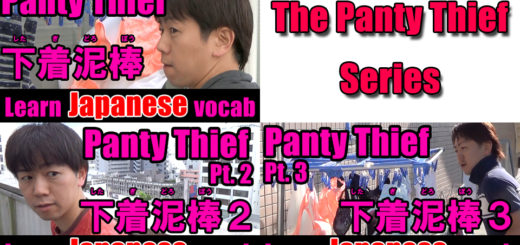 panty thief series