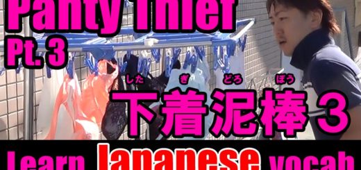 panty thief japanese