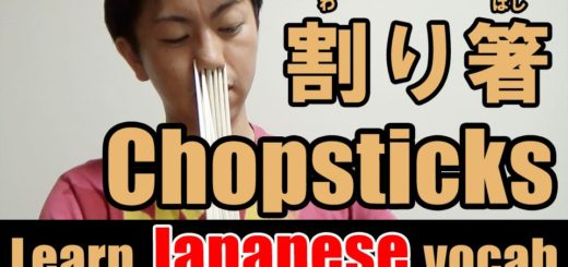 chopsticks japanese