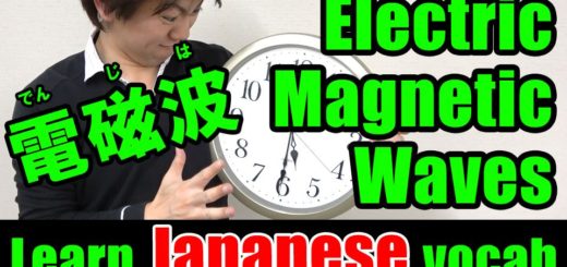 electric magnetic waves japanese