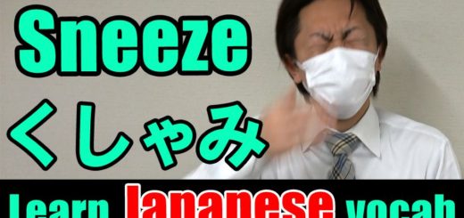 sneeze japanese