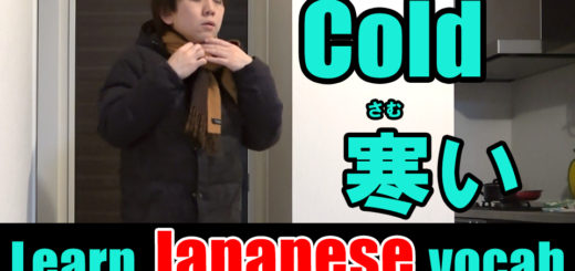 cold japanese