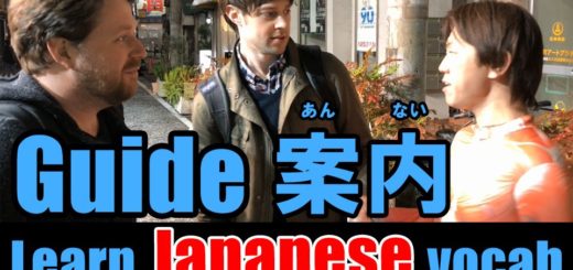 guide japanese
