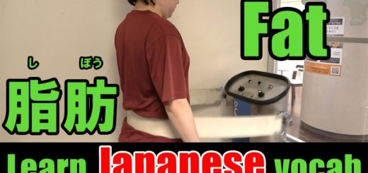 fat japanese