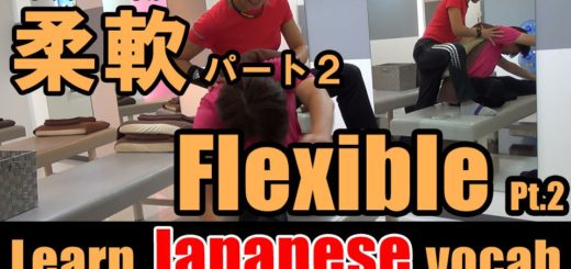 flexible2