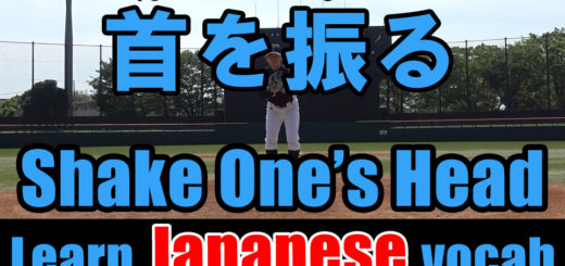 shake ones head japanese