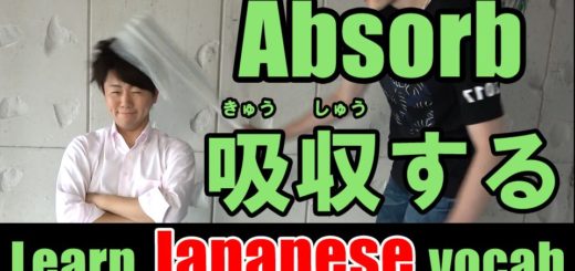 absorb Japanese