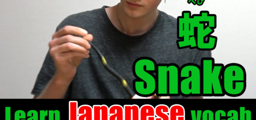 snake Japanese